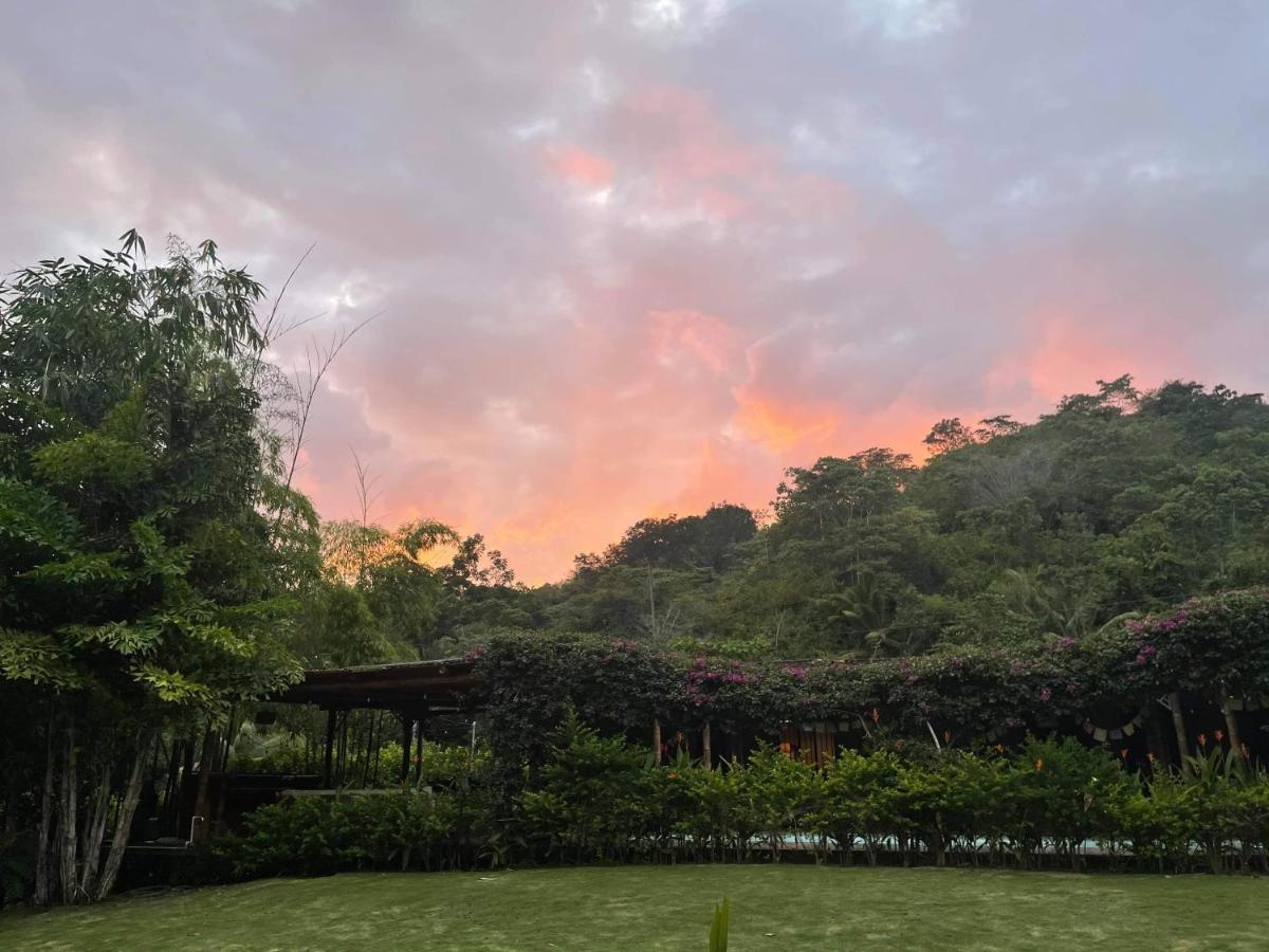 דירות פלאיה הרמוסה Soul Sync Sanctuary Formally Hacienda La Moringa מראה חיצוני תמונה