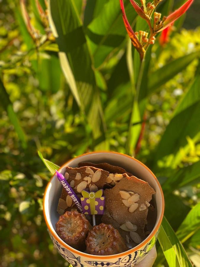 דירות פלאיה הרמוסה Soul Sync Sanctuary Formally Hacienda La Moringa מראה חיצוני תמונה